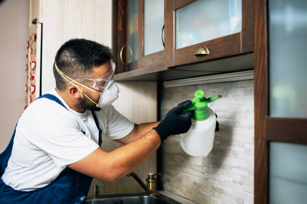 Best Commercial Pest Control Services  in Stone Ridge, VA