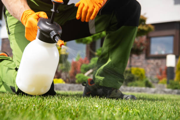 Best Affordable Pest Control Services  in Stone Ridge, VA