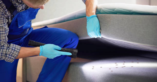 Best Wasp Removal Services  in Stone Ridge, VA