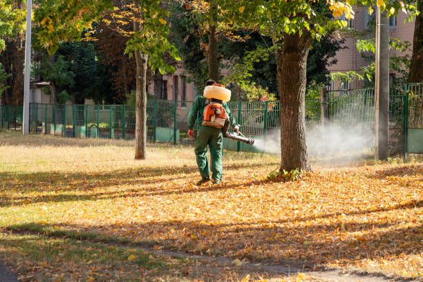 Wasp Removal Services in Stone Ridge, VA