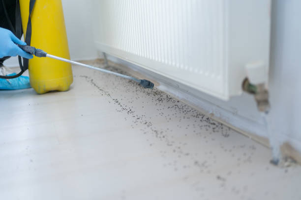 Best Best Pest Control Companies  in Stone Ridge, VA
